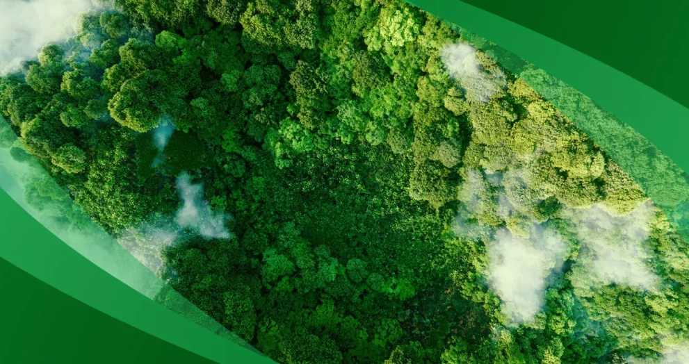 A Guide to Finding Sustainable Clothing