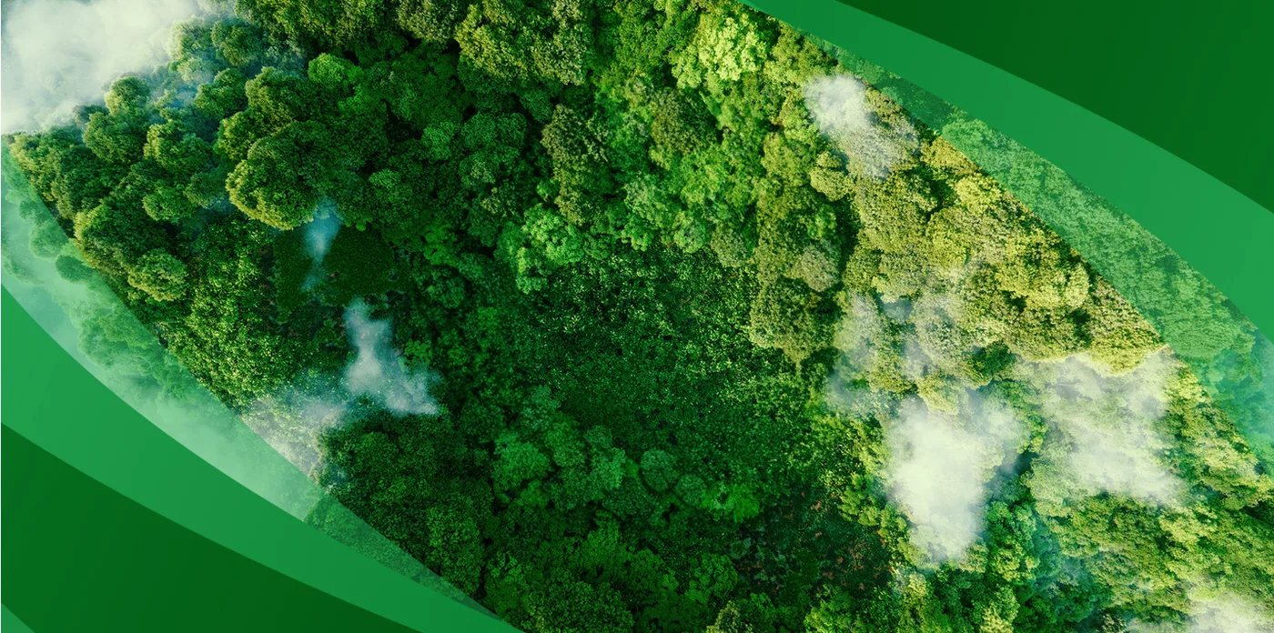 A Guide to Finding Sustainable Clothing